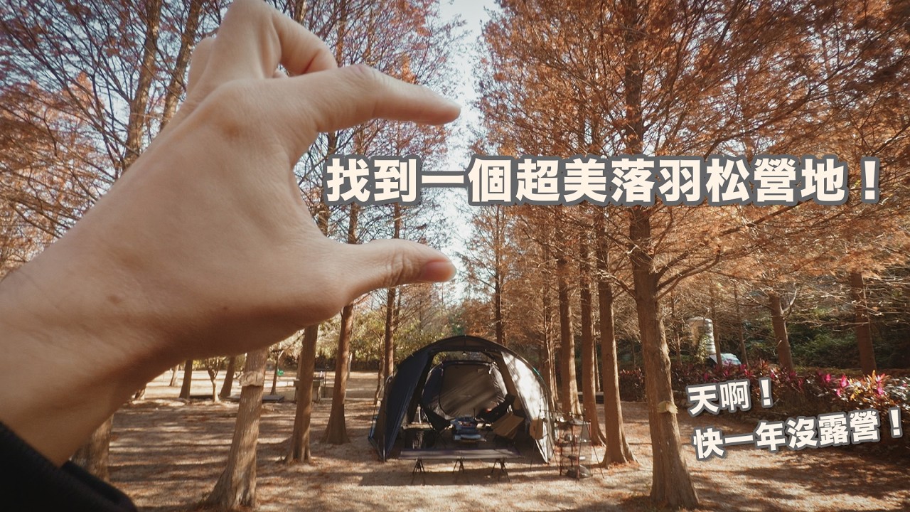 天啊！快一年沒露營！這次找到一個超美的落羽松營地！