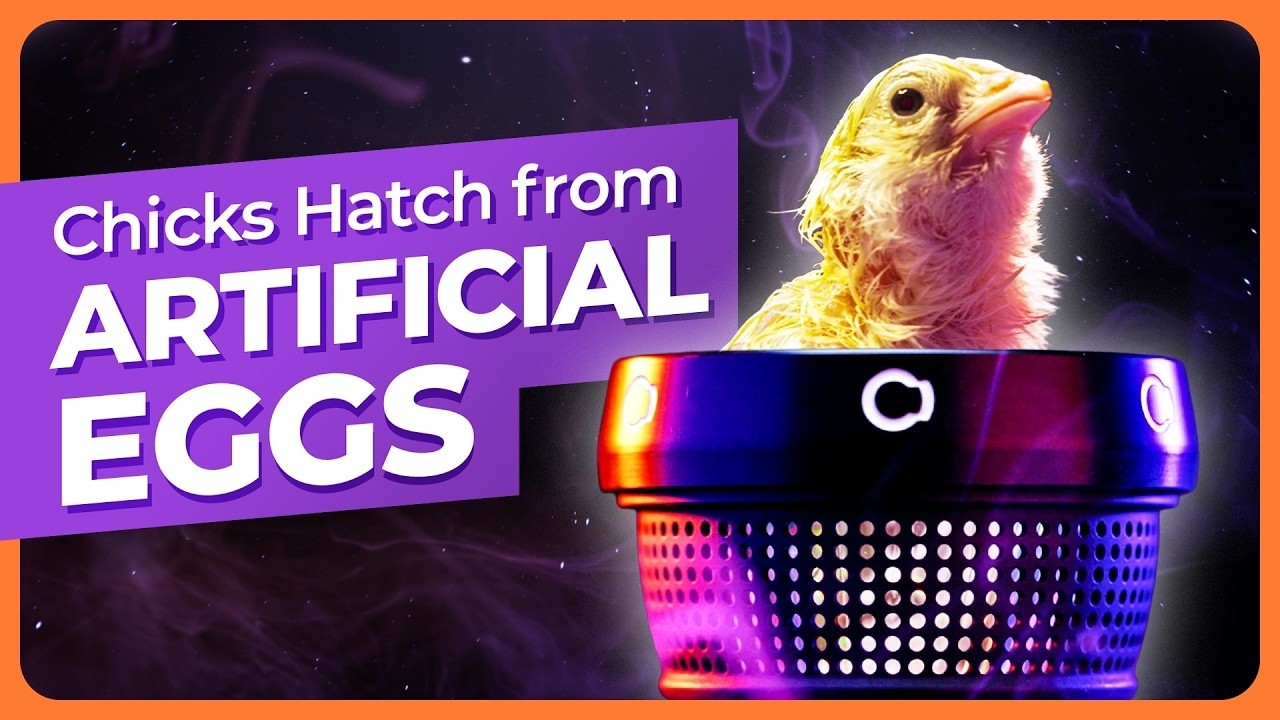Latest Title & Thumbnail