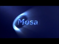 Mosaic Media Group 2002 Mosaic Media Group 2002