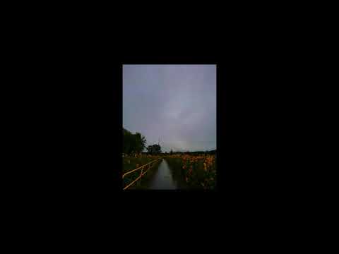 Montell Fish - Bathroom (Speed Up + Reverb) - YouTube