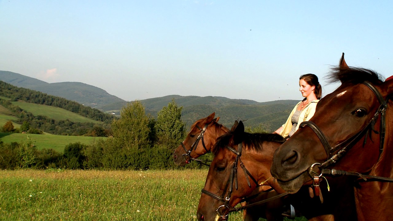 Jazdecký areál sv. Františka