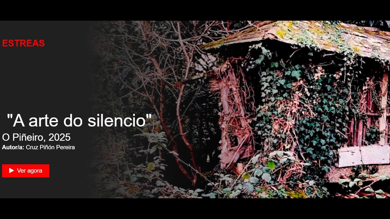A arte do silencio