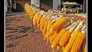 Karadeniz Candır Nani Oy Oy Haydi Nani Oy Oy