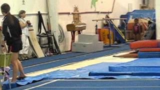 Zaria Vault 2014