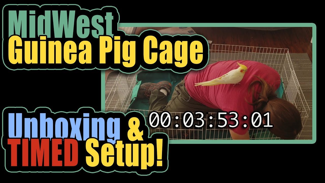 MidWest Guinea Pig Cage Unboxing, TIMED Setup! YouTube