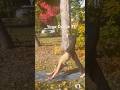 🍁Warrior Mindset from Yoga Dance 71 Love #short #shorts
