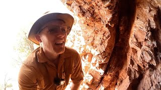 These Abandoned Mine Twins Need a Revisit!
These abandoned mines were awesome! I cant wait to go back and explore more!
~ ~ ~ ~ ~ ~ ~ ~ ~ ~ ~ ~ ~
Looking for a way to support the channel?
• Direct Donations •
Venmo: @Nickolas-Poulson
PayPal: @miner49er1
-or- PayPal.Me/miner49er1
Check out my books!
www.amazon.com/author/nickolaspoulson
All donations go towards improving the channel. Whether it be through upgrades to camera gear, or improvements to exploring gear, your donations are valued and treated with respect.
• THESE ARE ITEMS THAT WOULD HELP IMPROVE OR SUPPORT THE CHANNEL •
www.amzn.com/hz/wishlist/ls/238VYMY1XQUCY?
• CHECK OUT THE MERCH STORE •
https://miner49er.myspreadshop.com/
*** Thanks for the support! ***
Am I using something that catches your eye? Maybe the flashlight? My helmet? Or even the backpack I carry my gear in? Well, check out my amazon page for a list of many of the items I use to explore abandoned mines:
www.amzn.com/shop/miner49er/list/3GND44998WXAX
This is the flashlight brand I use:
http://rwrd.io/ch7sbw7?s These Abandoned Mine Twins Need a Revisit!