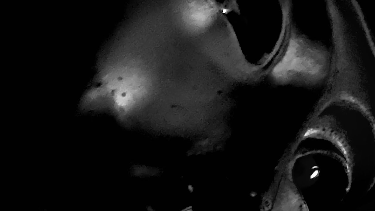 Pharaoh Snefru - In The Dark