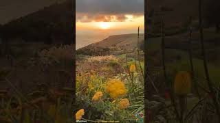 Celebrity How many Days until Spring? Net Worth