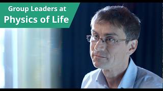 The Friedrich Group at Physics of Life