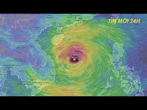 Video Dự báo thời tiết hôm nay mới nhất ngày | Tin Bão Số 8... - youtube
