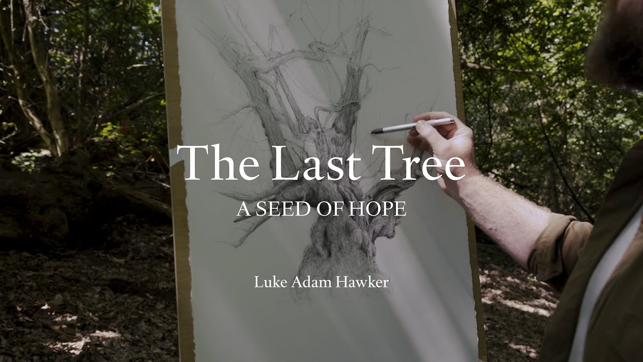 Luke Adam Hawker - The Last Tree