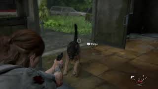 Last of us 2