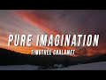 Capture de la vidéo Timothée Chalamet - Pure Imagination (Lyrics) From Wonka