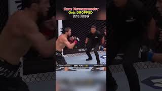 Umar Nurmagomedov Gets DROPPED by a Knee! 😳 #ufc321 #umarnurmagomedov