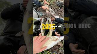 17 Brochets En 6H Êche