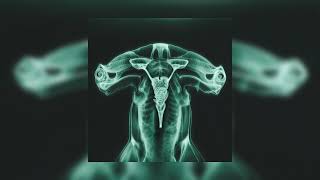 Eartheater - Shark Brain (feat. Shygirl) | Official Audio