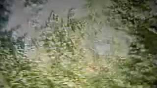 Black Mountain - "Druganaut" Jagjaguwar Records