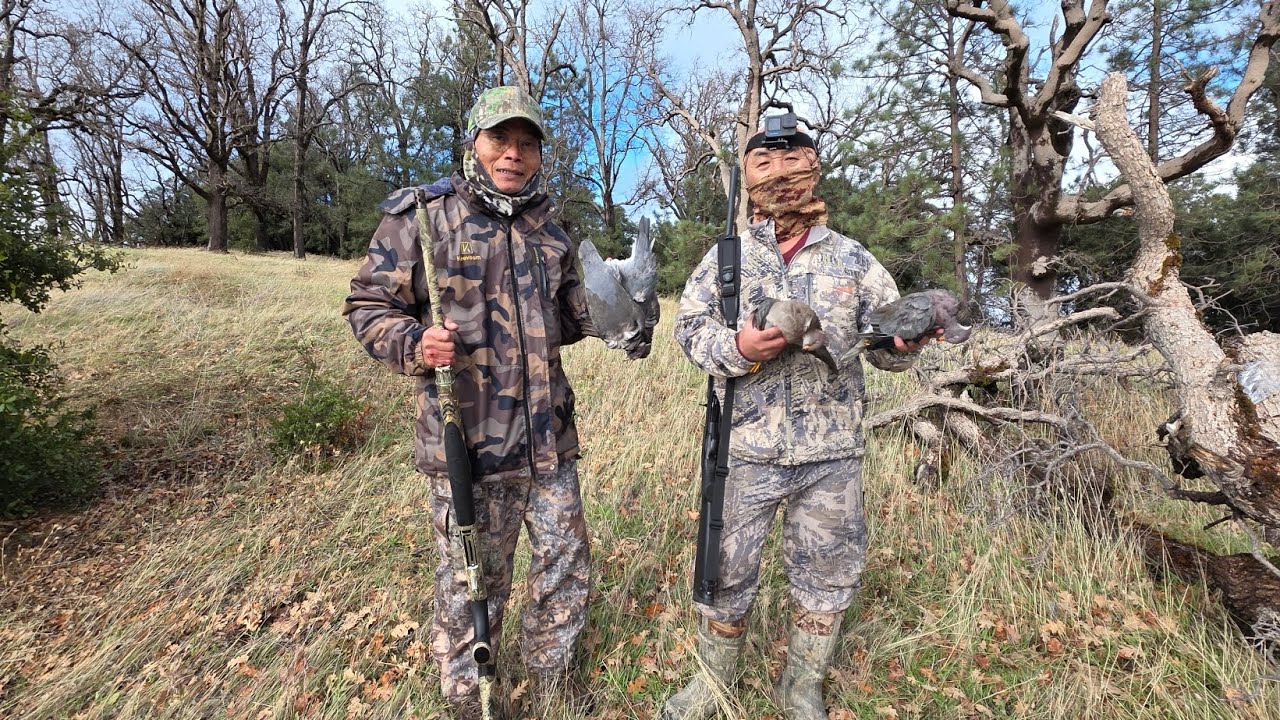 Охота на полосатохвостого голубя - Туа Нкуаб Дейс, 26 декабря 2025 г. (EP-01)