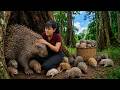 [TIMELAPSE] -- 236 Days Catching Giant Wild Porcupines &amp; Babies | Sold Out Fast