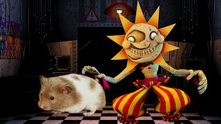 Hamster VS Sundrop FNAF - Five Nights At Freddy's | Hamster Escapes the Rainbow Maze
