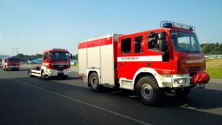 Den s policii sosnova 2