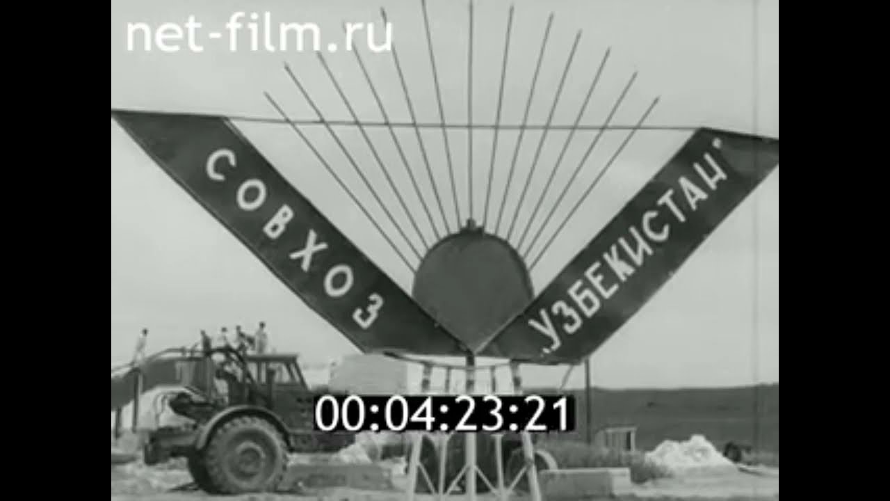 1976г. совхоз Узбекистан Ивановская обл. студенты из Бухарского педагогического института