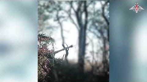 🎯 The Vostok Group