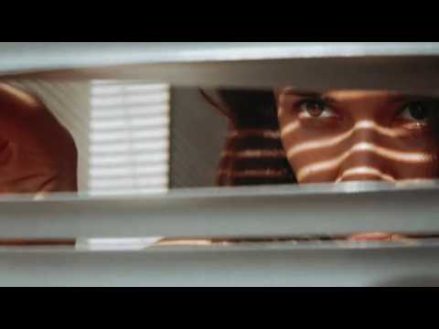 ANALOG SHADOWS - P. Cercato - (Official Video)