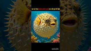 “4 Amazing Facts jo 99% log nahi jaante 😱 | Scorpion, Blowfish aur World ke Secrets!”#shorts #facts