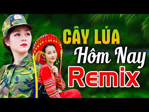 HÁT VỀ CÂY LÚA HÔM NAY REMIX – LK Nhạc Đỏ Cách Mạng Kháng Chiến Remix Bass Căng Bốc Lửa Mới Nhất