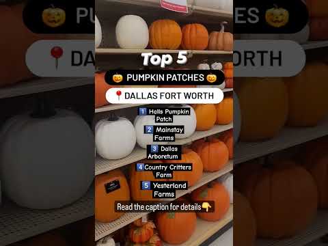 Video: Pick-Your-Own Pumpkins in Dallas-Fort Worth