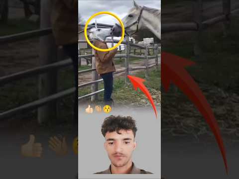 اياكم وكسر الخواطر فان وجعهاء لا يشفئ ولو بعد حين  العظماء 