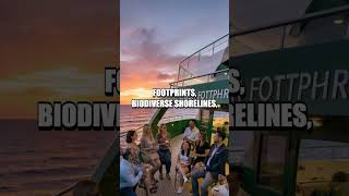 Green Wealth in Action A Day with a Climate Conscious Curator