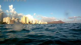 Snorkeling in Honolulu