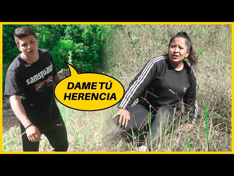 Las verdaderas intenciones en el amor y la herencia de su padre