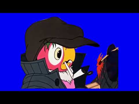 ФУТАЖ ПОПУГАЙ КЕША КУРИТ ХРОМАКЕЙ НА СИНЕМ ФОНЕ 