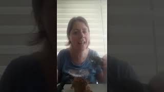 Yes, I can! song / Teaching actions and jungle animals