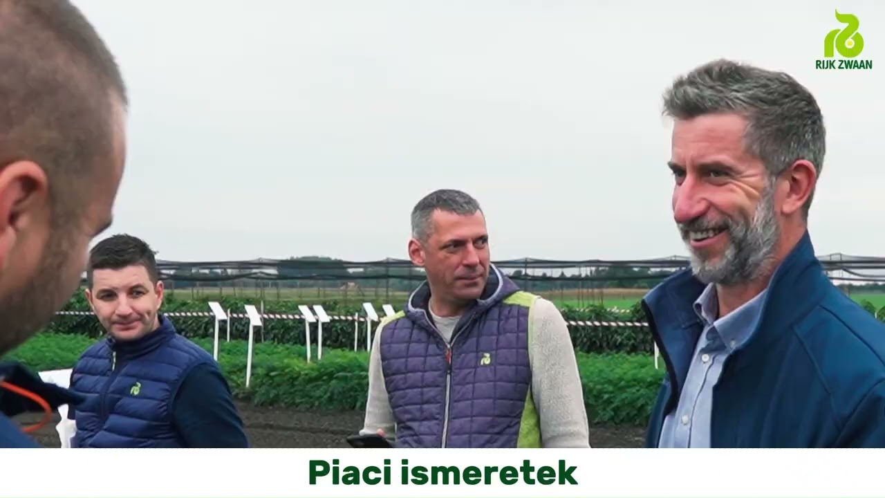 Bemutatkozik a Rijk Zwaan