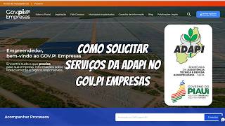 Tutorial De Solicitação De Serviços Da Adapi No Gov.pi Empresas