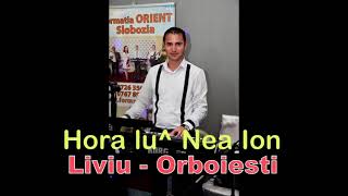 Hora lu” Nea Ion tiganeasca originala-Liviu de la Orboiesti live 2010