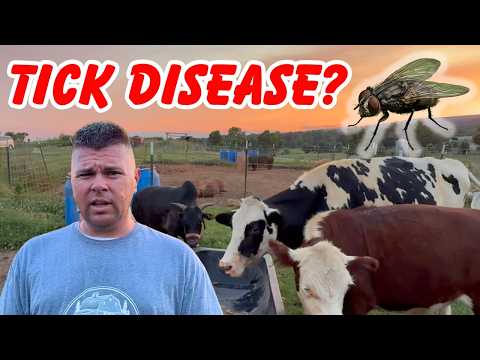 BAD News From The Doctor... Attacked By PARASITES!
