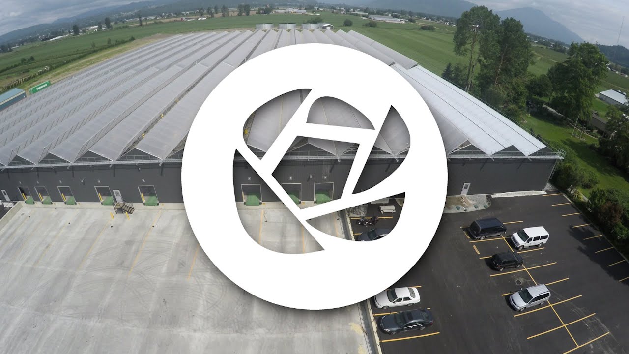 Managing Growth Van Belle Nursery 2017 YouTube