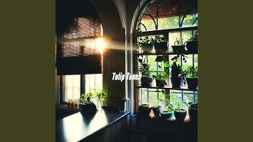 Cultivated Double Citrus Espresso