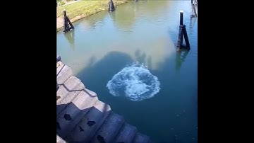 (35 FEET) SICK BRIDGE JUMPING!! DOUBLE BACKFLIP OFF CLIFF!