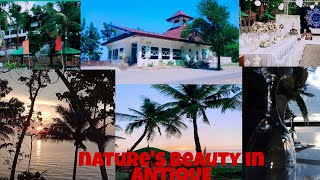 ANTIQUE explore and enjoy | Roy Alvarez