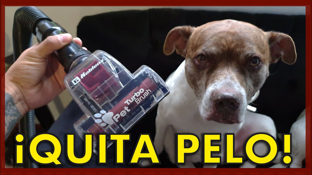 Conoce a: Cepillo quita pelo de perro y gato para aspiradora - YouTube