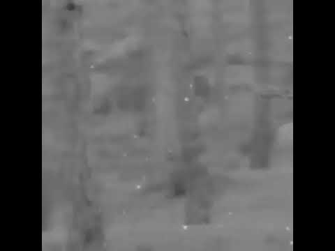 يوم ماشوفك حالات واتس اب