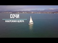 Сочи, Адлер, Дельфины