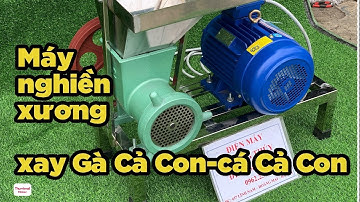 Máy nghiền xương lợn-xay gà cả con-xay cá cả con|Điện Máy Cường Thuý Xản Xuất